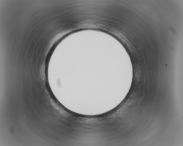 X0000111431030200908241117