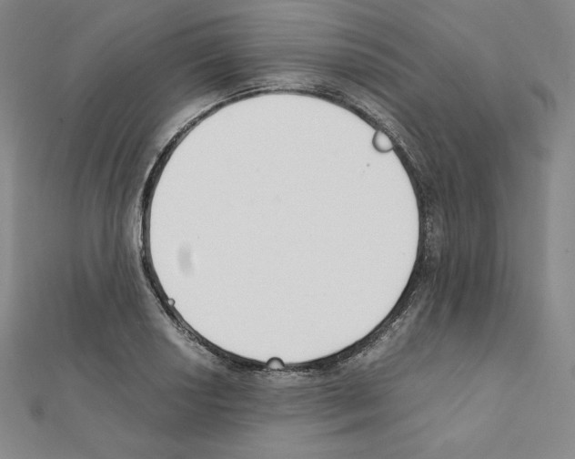 X0000111431034200908241117