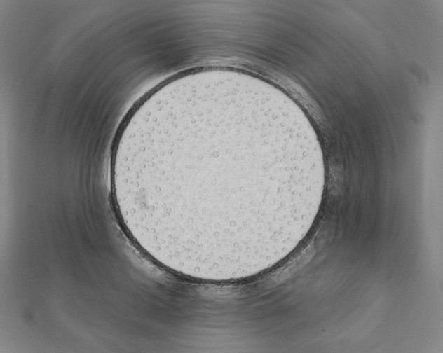 X0000111431036200908241117