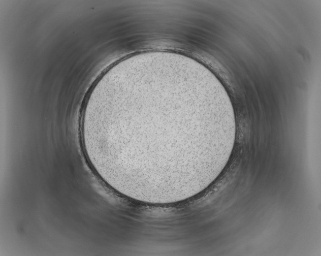 X0000111431039200908241117