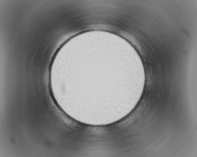 X0000111431040200908241117