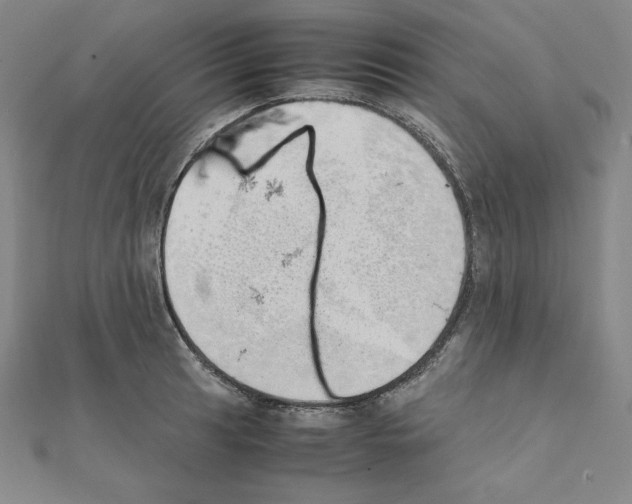 X0000111431041200908241117
