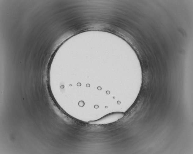 X0000111431042200908241117