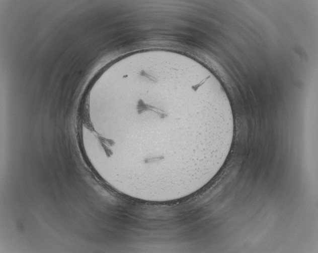 X0000111431043200908241117
