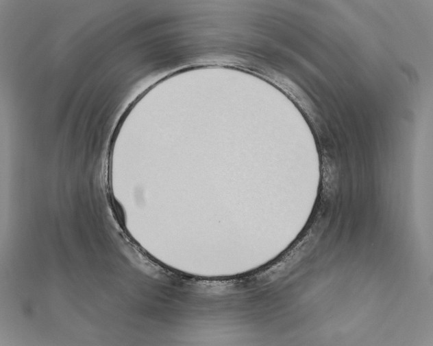 X0000111431044200908241117