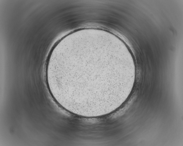 X0000111431045200908241117