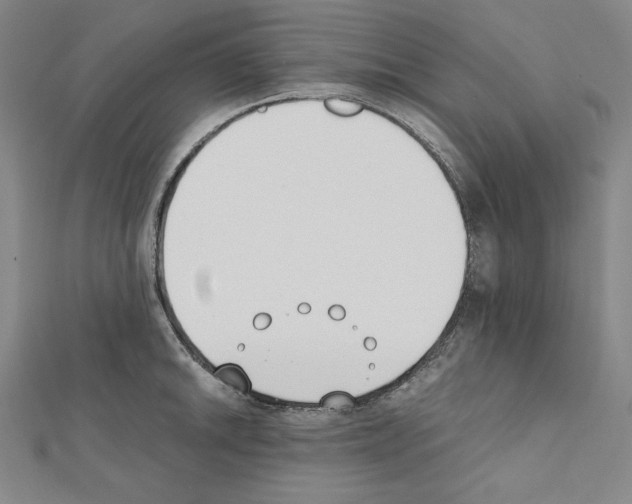 X0000111431046200908241117
