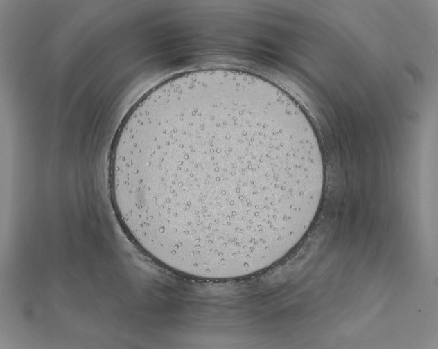 X0000111431047200908241117