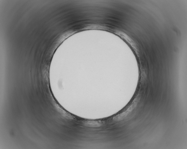 X0000111431049200908241117