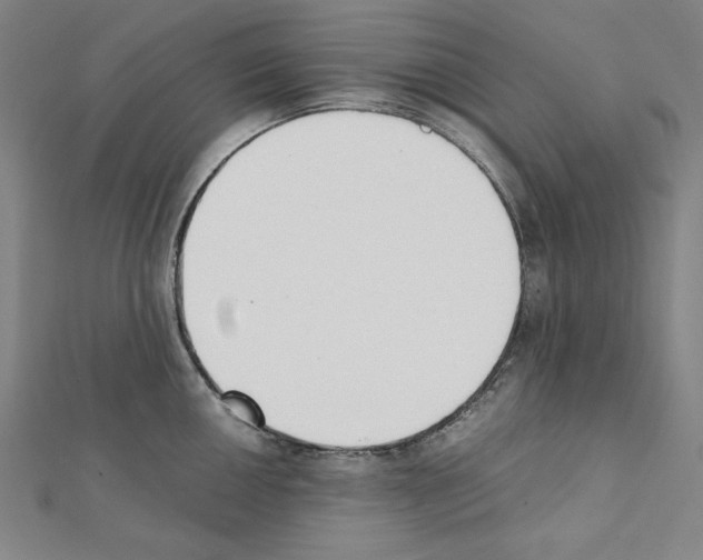 X0000111431050200908241117