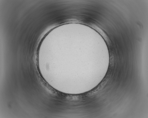 X0000111431051200908241117