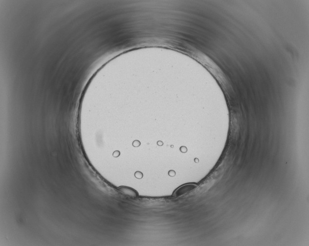 X0000111431052200908241117
