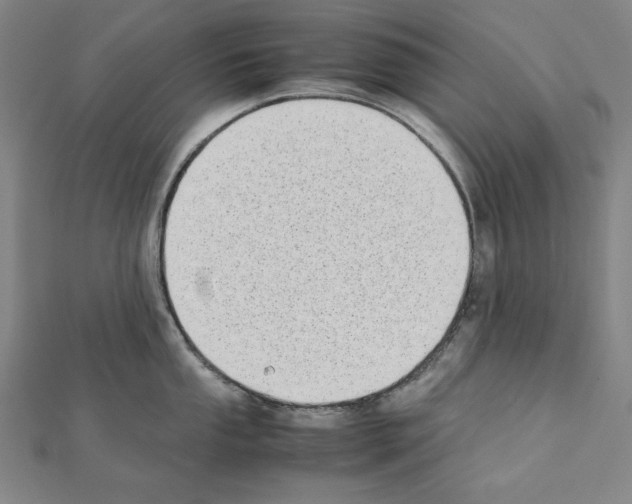 X0000111431053200908241117