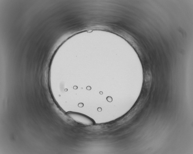 X0000111431054200908241117