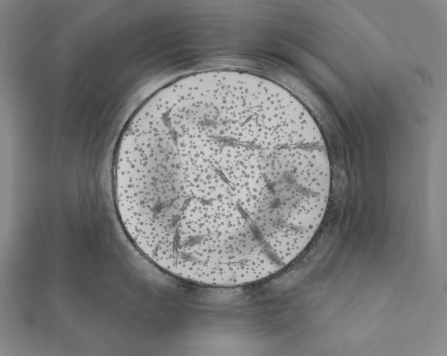 X0000111431055200908241117