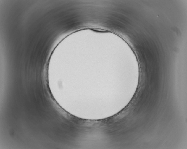X0000111431056200908241117