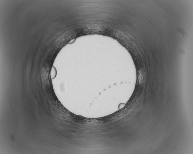 X0000111431059200908241117