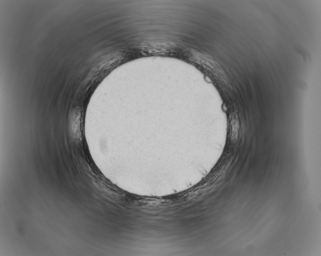 X0000111431060200908241117
