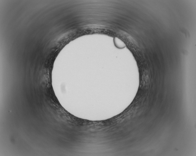 X0000111431062200908241117
