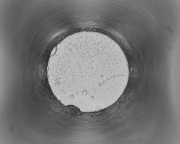 X0000111431063200908241117