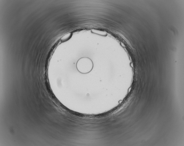 X0000111431065200908241117