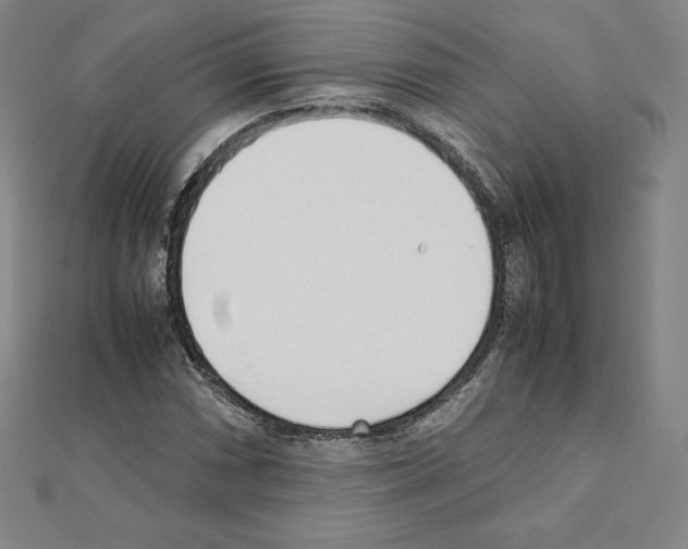 X0000111431066200908241117