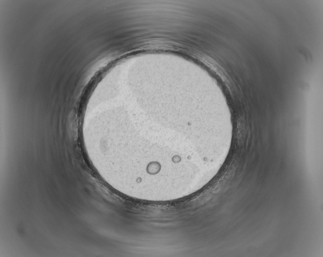 X0000111431067200908241117