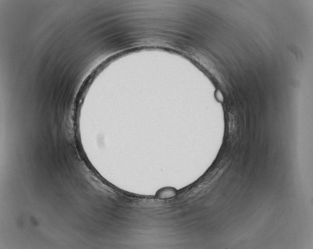 X0000111431068200908241117