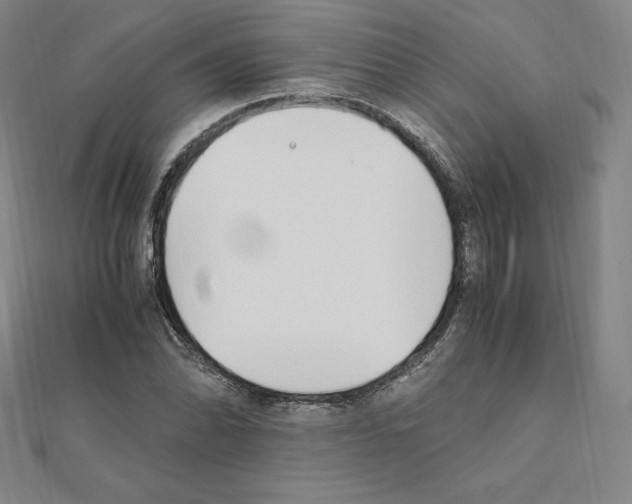 X0000111431070200908241117