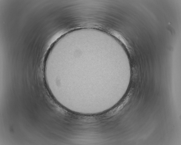 X0000111431071200908241117