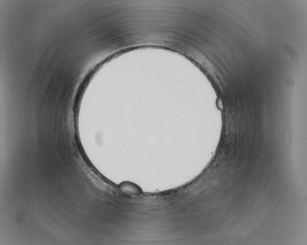 X0000111431072200908241117