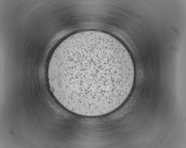 X0000111431074200908241116
