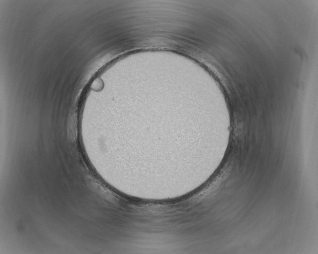 X0000111431075200908241116