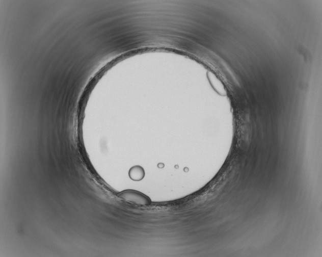 X0000111431076200908241116