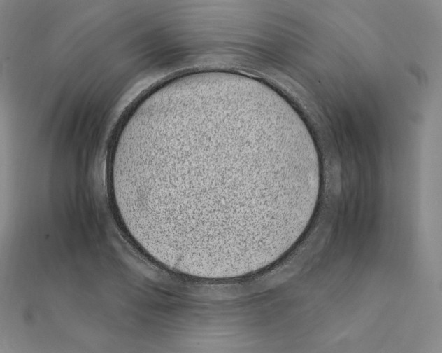 X0000111431078200908241116