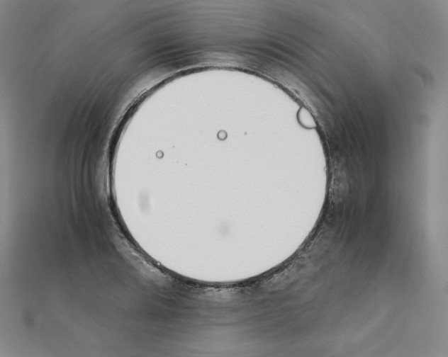 X0000111431080200908241116