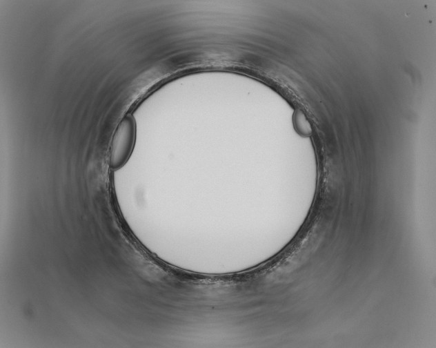 X0000111431081200908241116