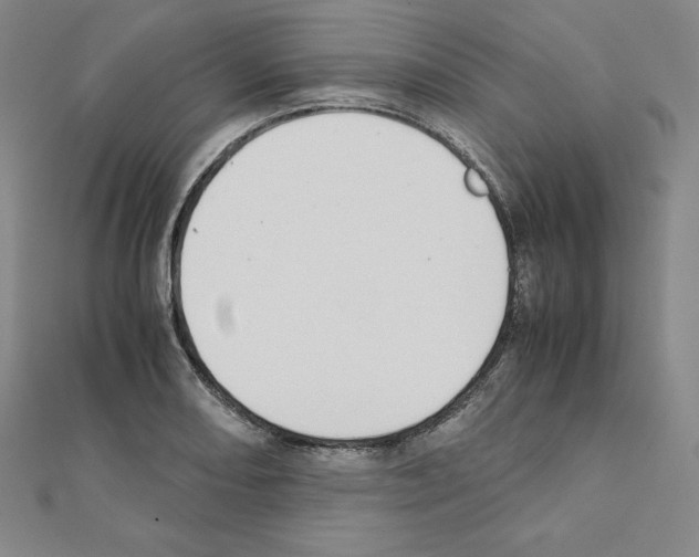X0000111431082200908241116