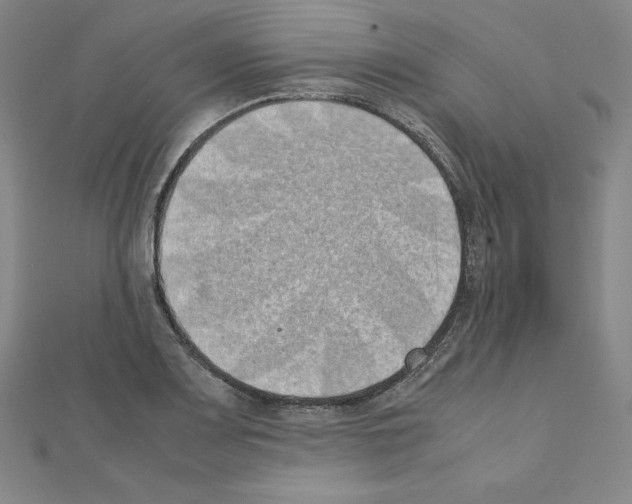 X0000111431083200908241116