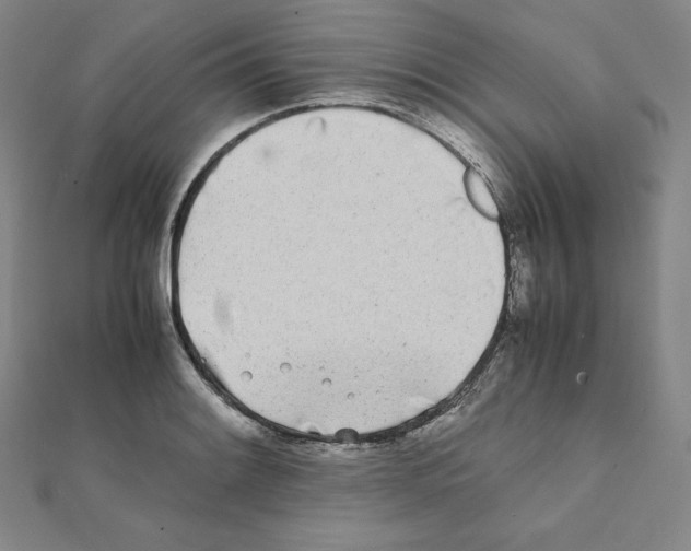 X0000111431084200908241116
