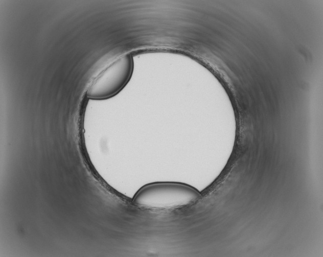 X0000111431085200908241116