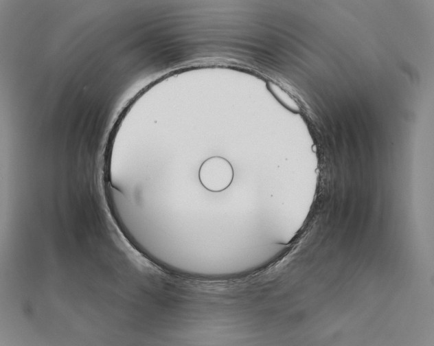 X0000111431086200908241116
