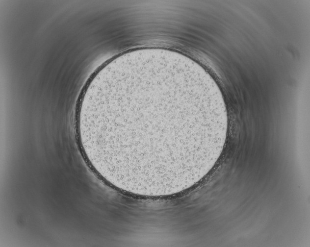 X0000111431087200908241116