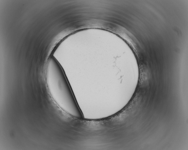 X0000111431088200908241116