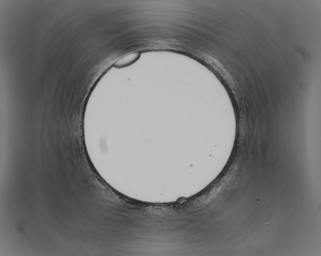 X0000111431089200908241116