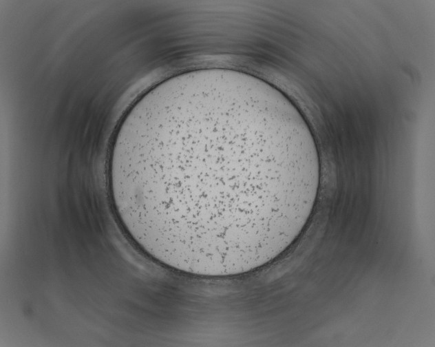 X0000111431090200908241116
