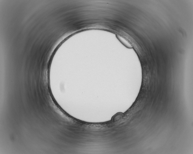 X0000111431092200908241116