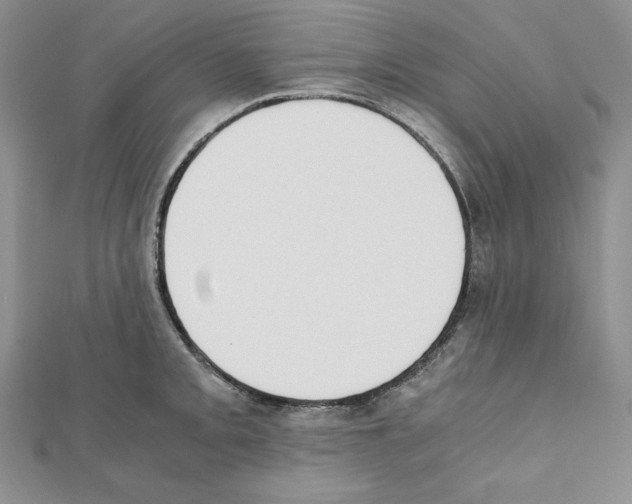 X0000111431093200908241116