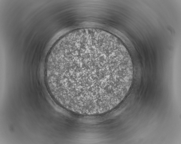 X0000111431094200908241116