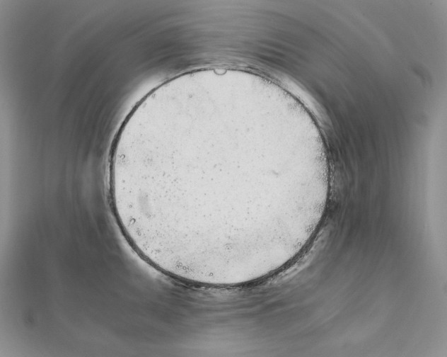 X0000111431095200908241116